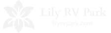 Lilyrvpark.com